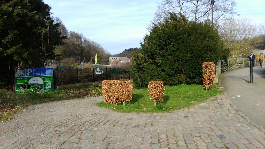 Ferienwohnung La Tulipe Durbuy Exterior foto